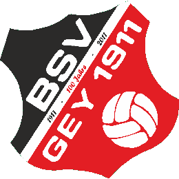 Logo BSV Gey